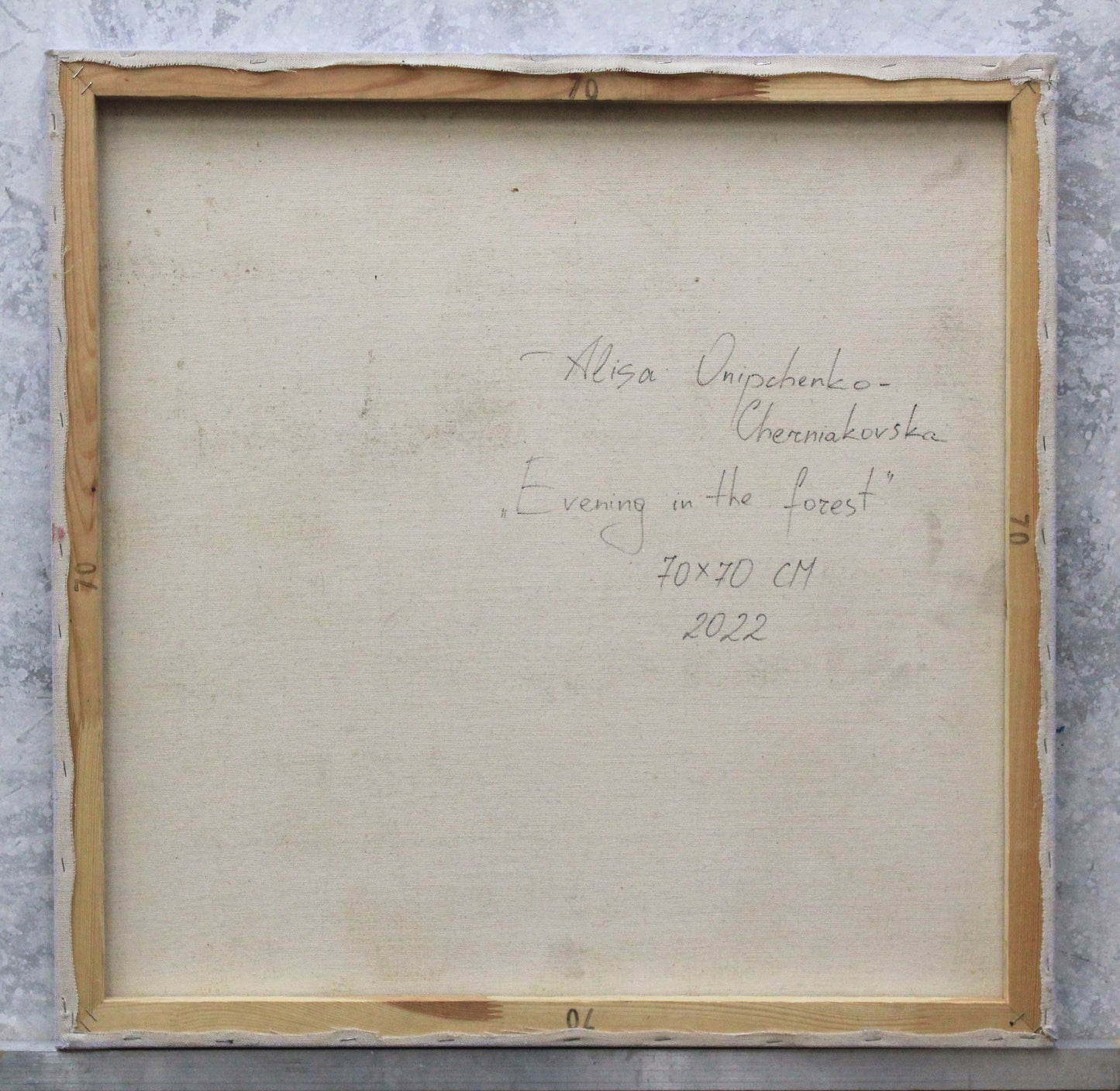 Evening in the forest