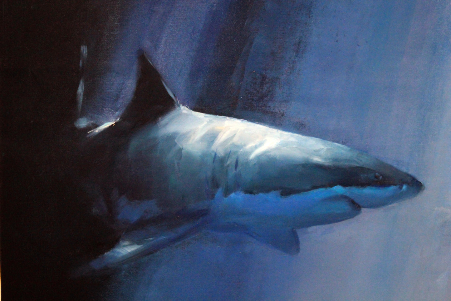 Great white shark original oil painting