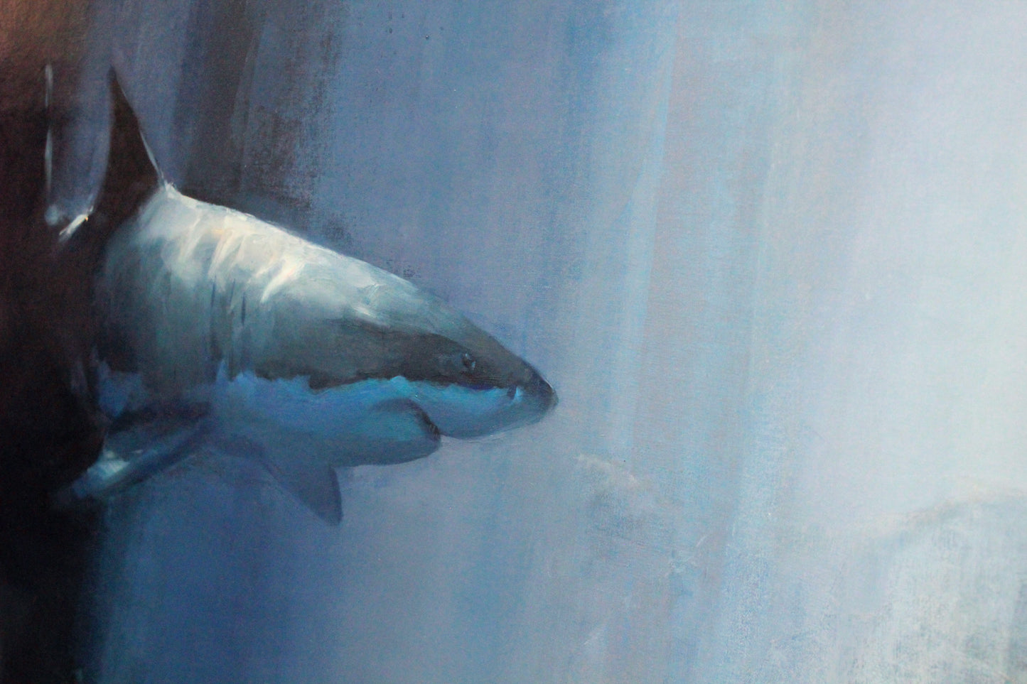 Great white shark original oil painting