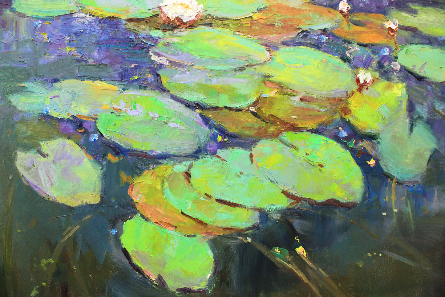 Water Lilies