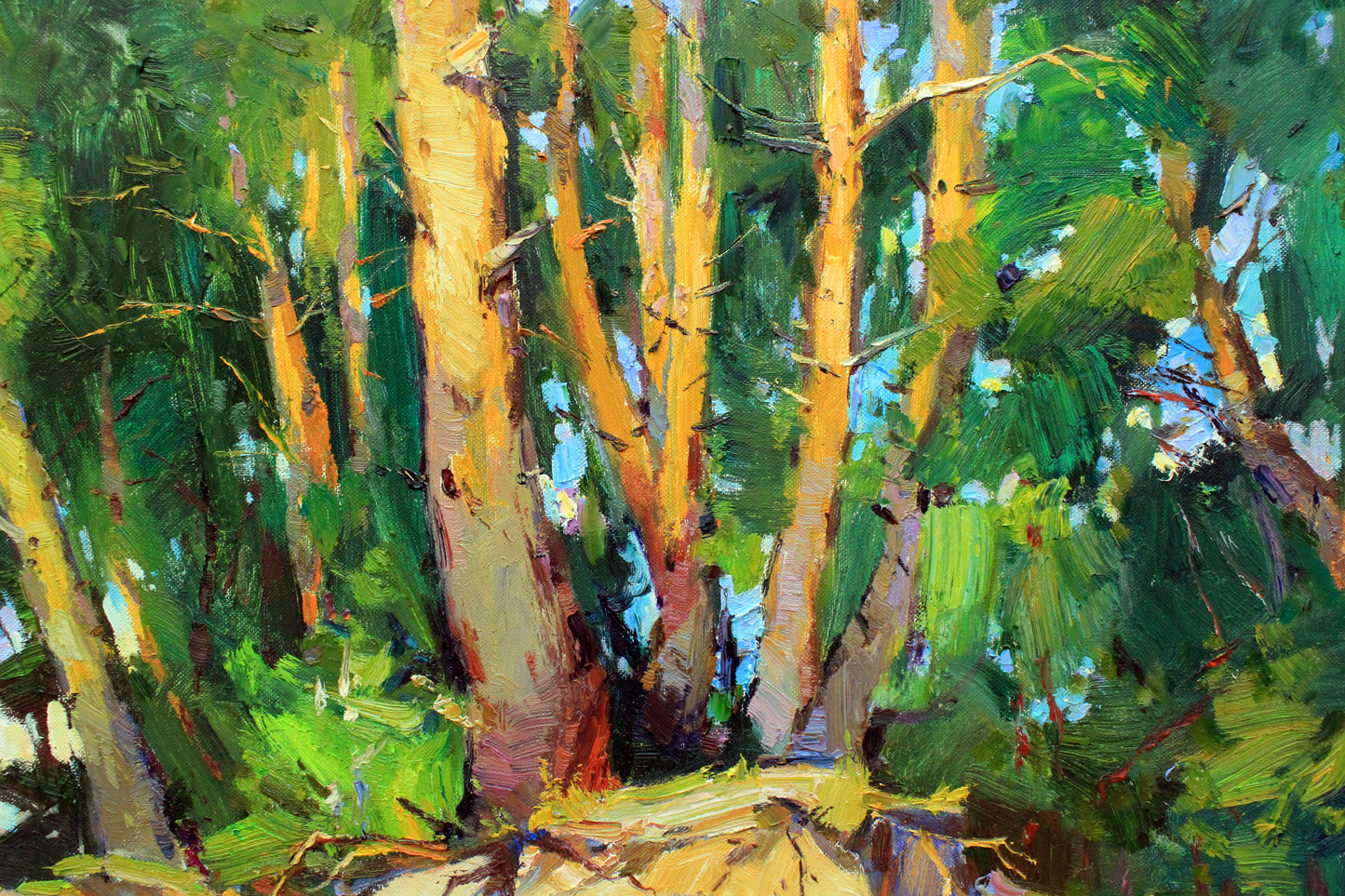 Pine trees