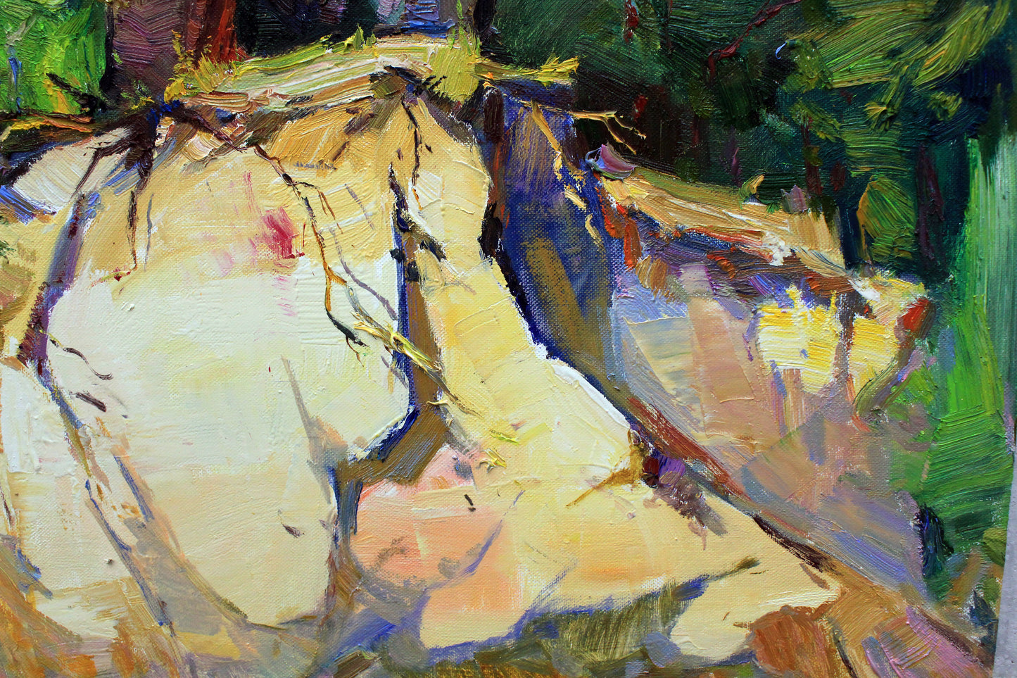 Pine trees