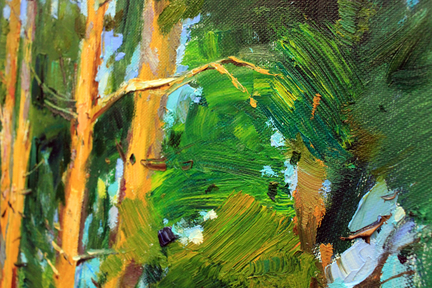Pine trees
