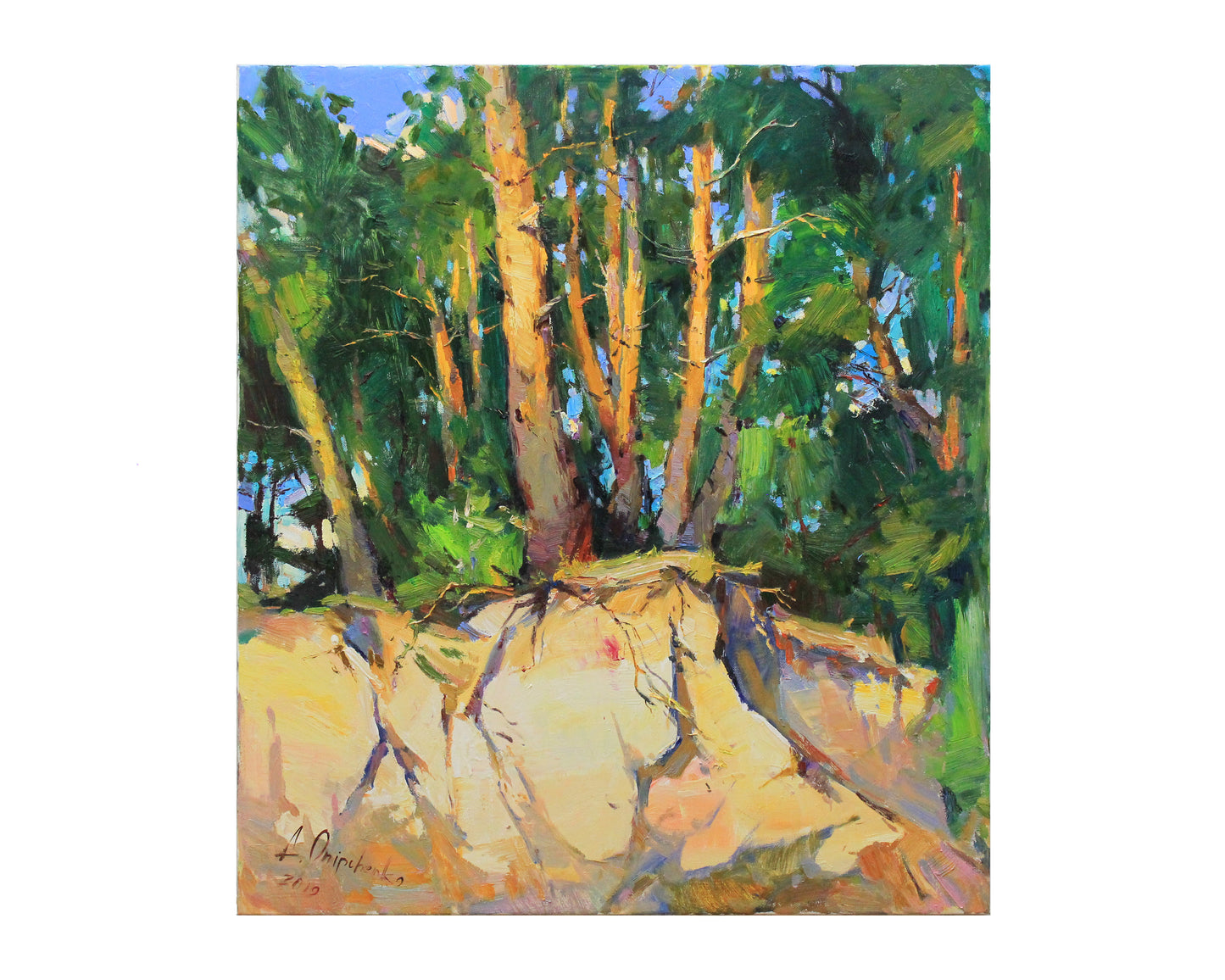Pine trees