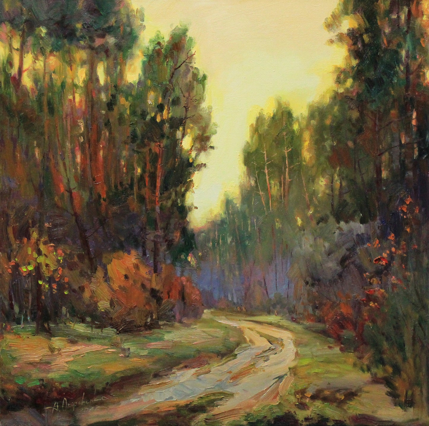 Evening in the forest
