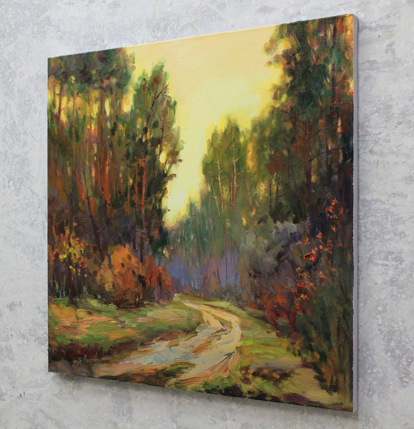 Evening in the forest