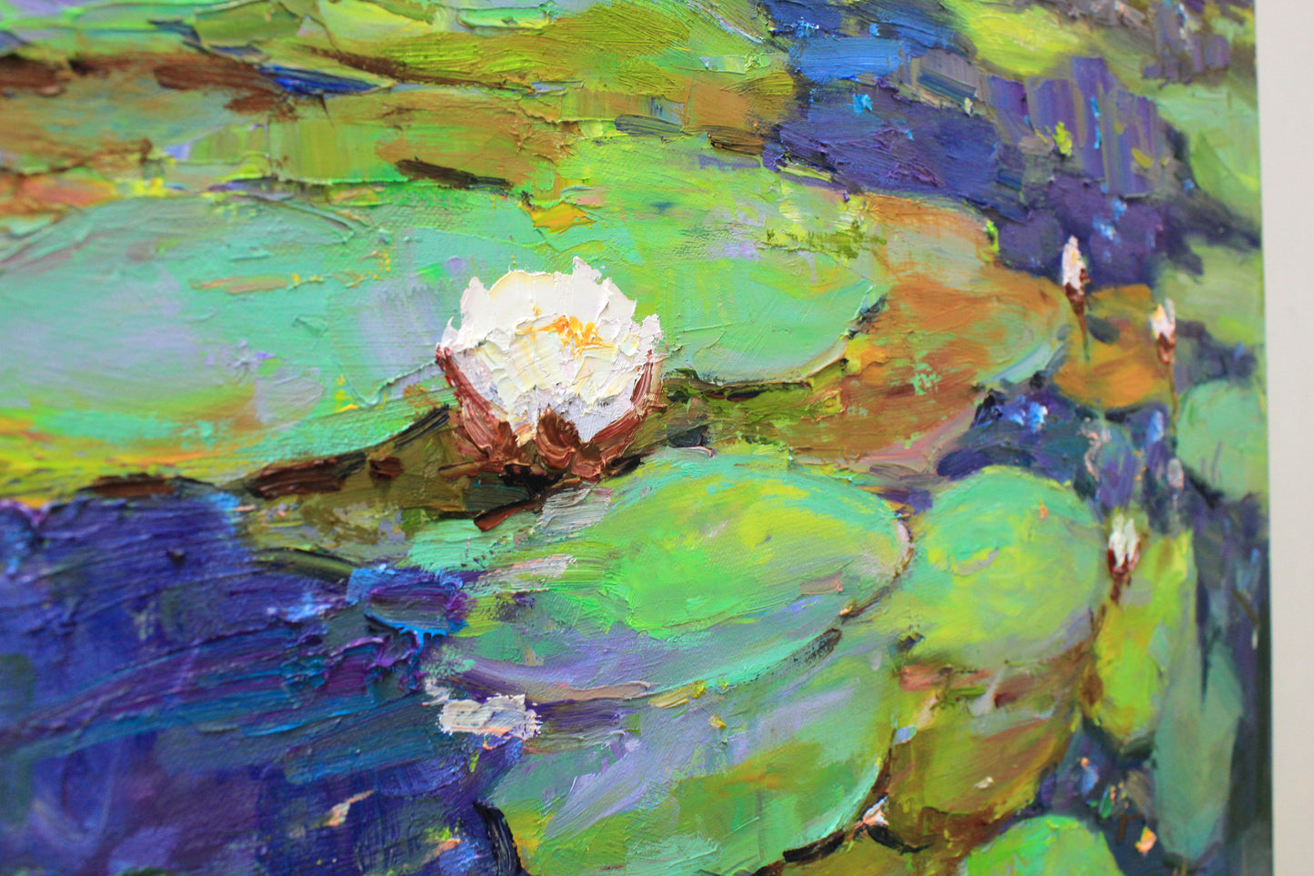 Water Lilies