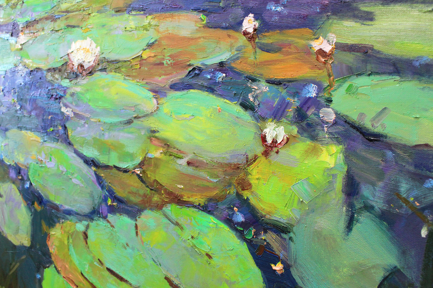 Water Lilies