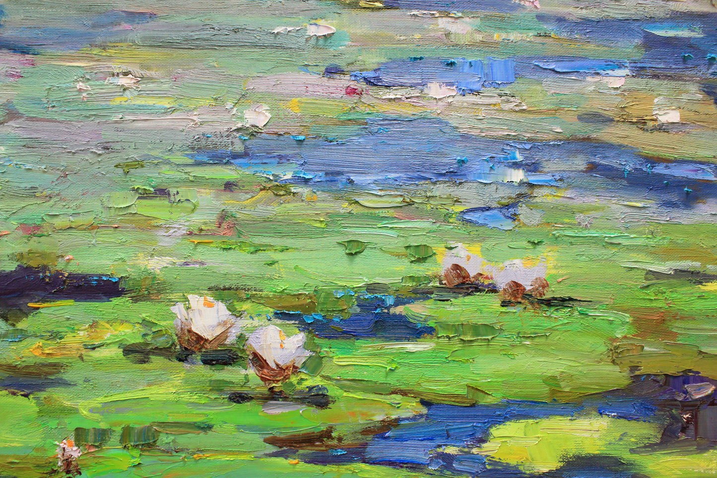 Water Lilies
